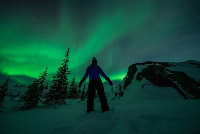Churchill Northern Lights & Winter Nights