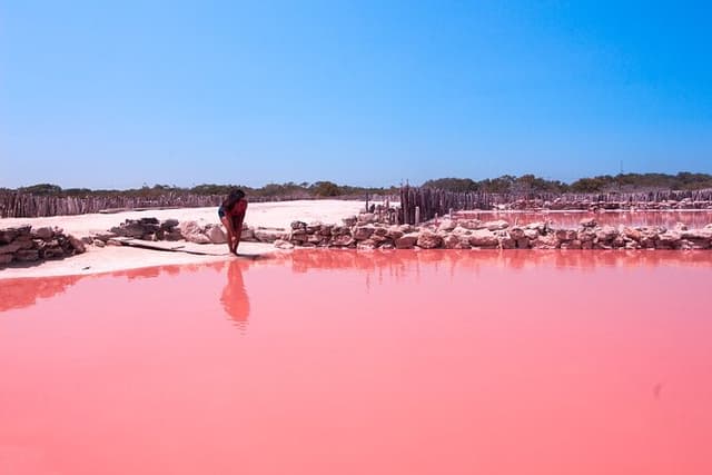 Yucatán Colors Tour: Pink Lakes, Cenote & Beach From Merida