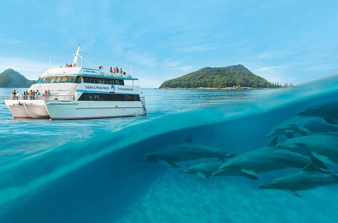 Top-Rated Port Stephens Day Trips from Sydney