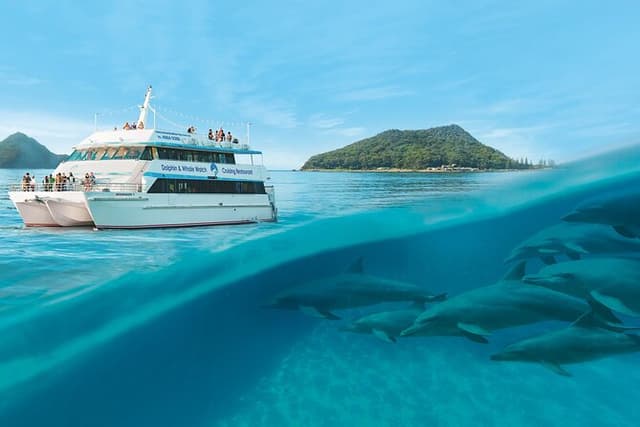 Port Stephens Dolphin Cruise Koalas Sandboarding Japanese Tour