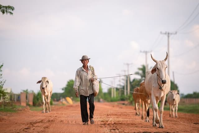 Hidden Gems of Siem Reap Private Tour & Customizable