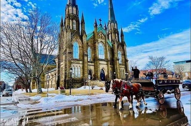 Horse Drawn Historical Guided Tour