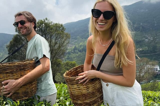 Nuwara eliya Tea Picking/testing & Waterfalls Tours with Tuk Tuks