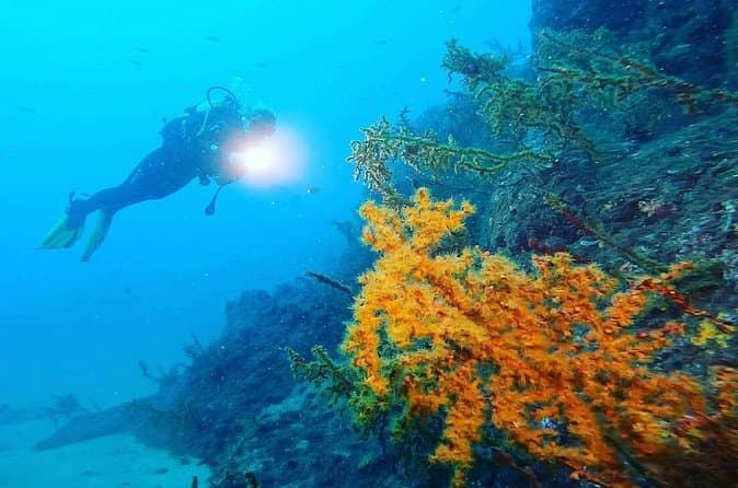 Top-Rated Scuba Diving Tours in Funchal