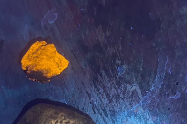 Night time fluorescent Rockhounding Tour