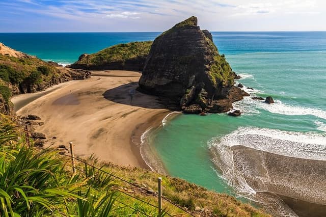 Ultimate Auckland Experience Full Day Tour with Brewery Lunch