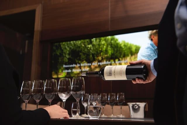 Santiago Private Don Melchor De Luxe Wine Tour