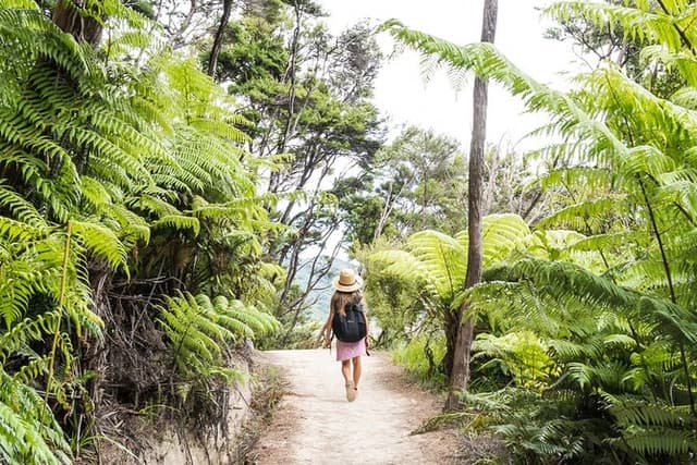 Full-Day Abel Tasman National Park Hiking Tour with Cruise