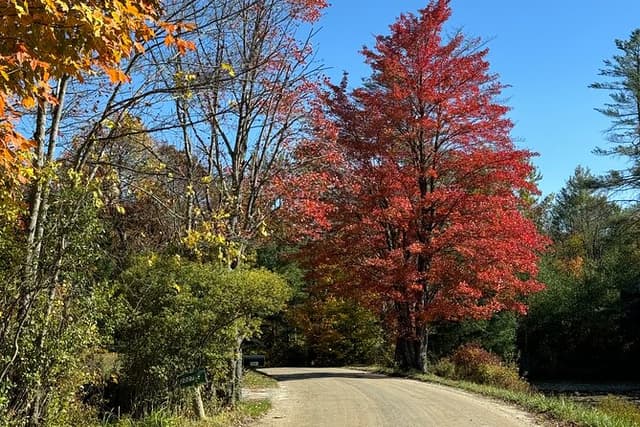 Vermont Wayfinders Fall Foliage Private Tour