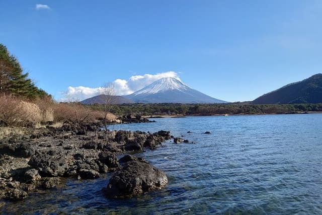 Fuji 5 Lakes Forest Bathing