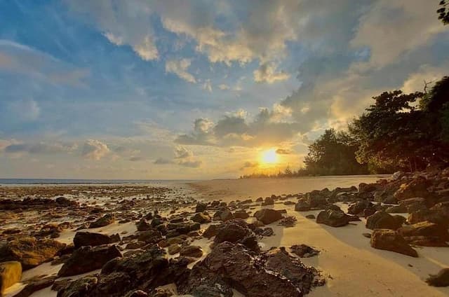 Phi Phi Early Bird & 4 Islands - Day Tour by Speedboat From Krabi