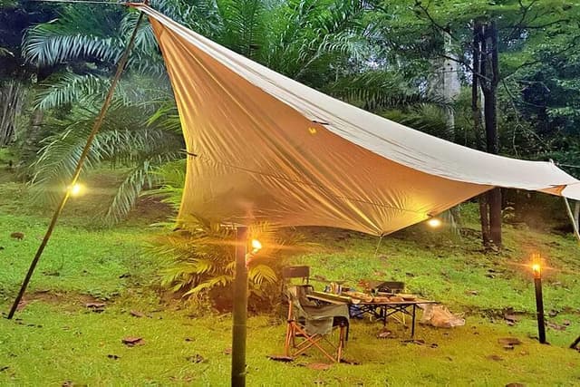Experience Khao Sok Jungle Escape Half Day Half Night