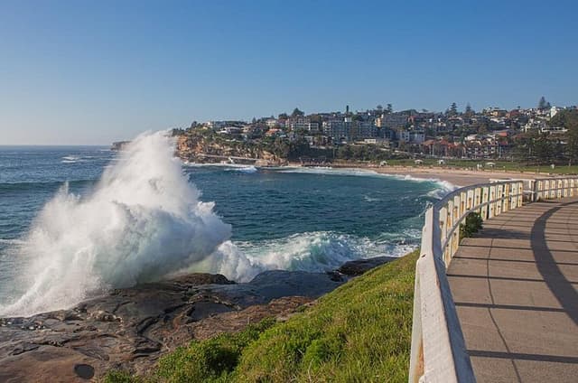 Private Sydney Harbour, Bondi Beach Half Day Tour - Like A Local