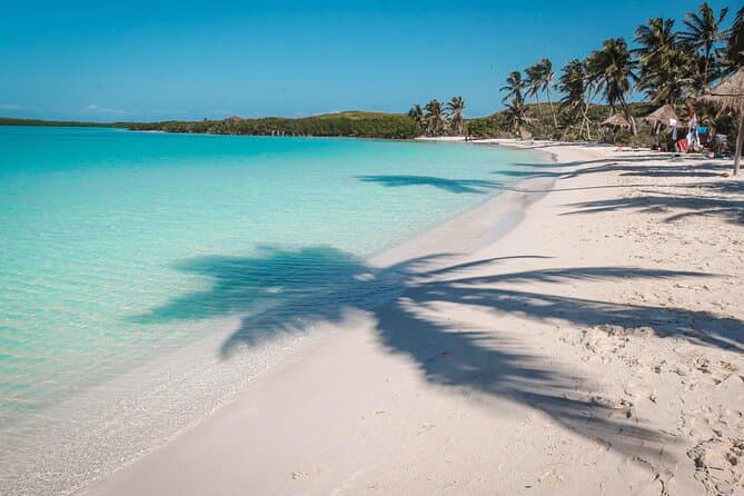 Best Isla Contoy & Isla Mujeres Day Trip from Playa del Carmen