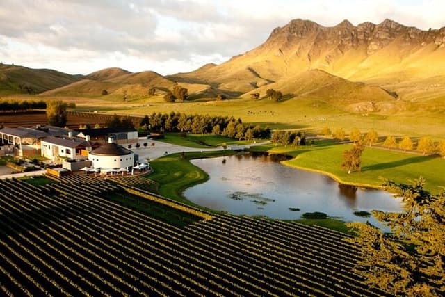 Craggy Range Deluxe - Hawke's Bay Wine Tour