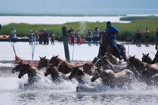 Best Chincoteague Kayak Tours Near Richmond