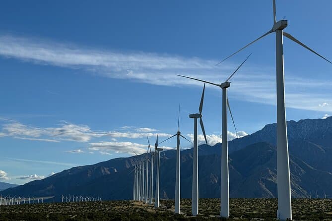 Palm Springs Windmill Tour: Top Rated Experiences