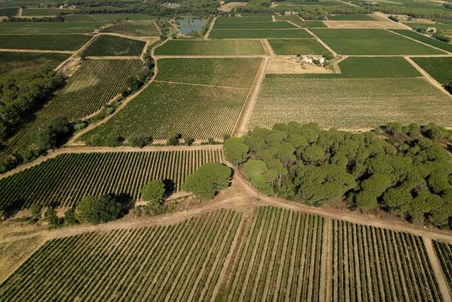 Provence Wine Tour - Private Day Tour from Nice