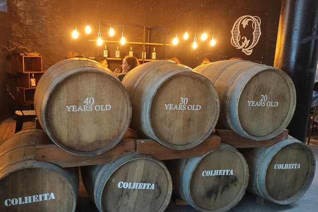 Port Wine Lodges Tour Including 7 Port Wine Tastings (English)