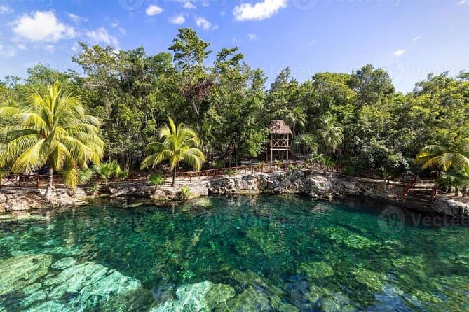 Unforgettable Cenotes Casa Tortuga Adventure in Tulum