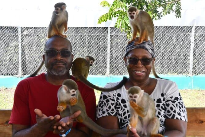 Best Puerto Plata Monkey Tour & Wildlife Experience