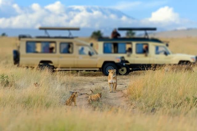 3 Day Private Trekking and Transfer to National Park