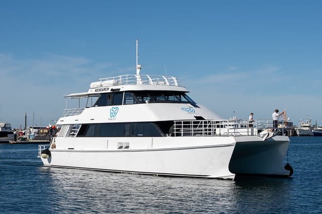 Whale Watching in Augusta Humpback and Southern Right Whales