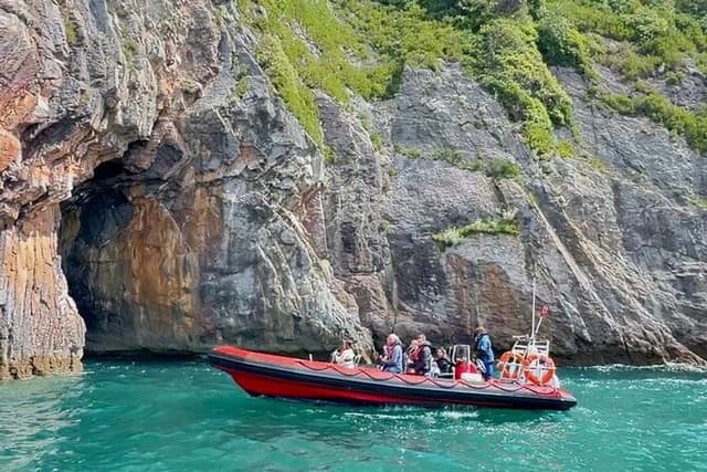 90 Minute Coastal Explorer in Torquay