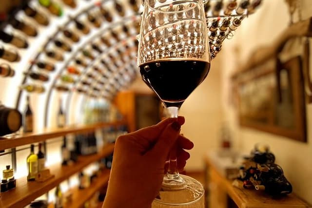 Exclusive Enogastronomy Tour Wine and food tasting