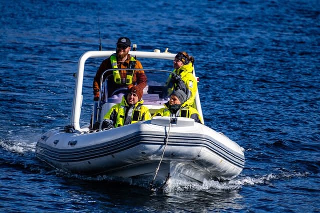 One Hour Sightseeing Boat Tour in Djúpivogur