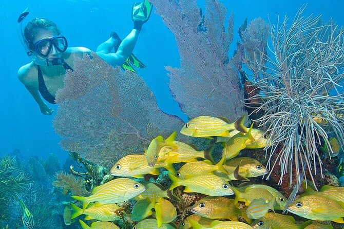 John Pennekamp Coral Reef Snorkel