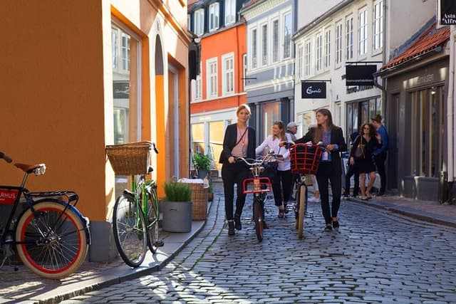 Aarhus City Highlights Private Tour