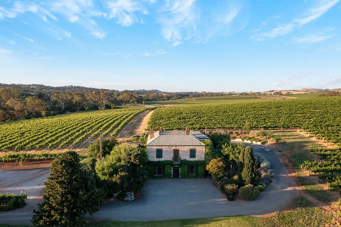 Best Cultural Connections Canapés & Wine Tours in Adelaide
