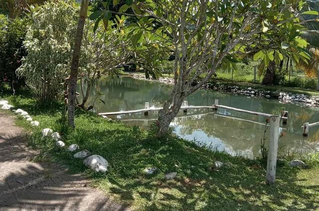 Private Nadi Tour