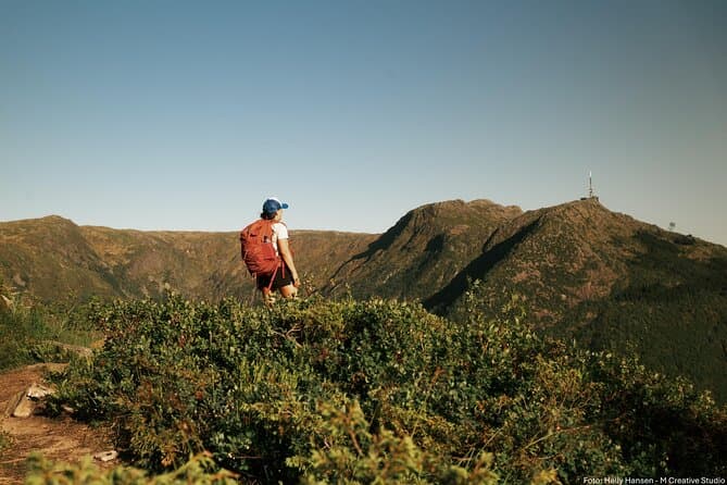 Best Bergen Mountain Hiking Tours & Scenic Trails