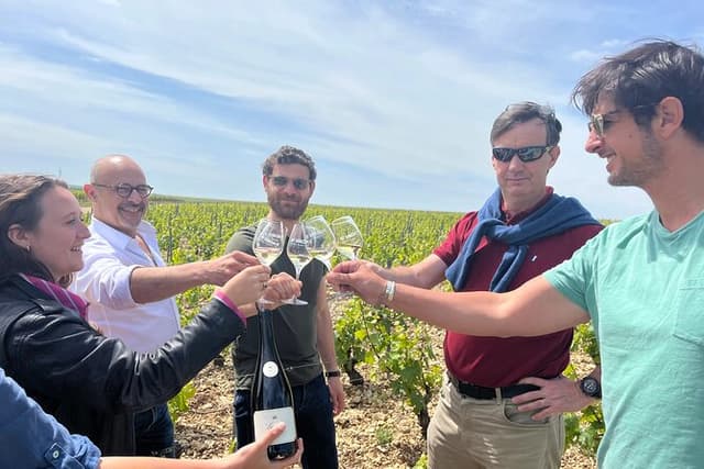 Chablis-Burgundy Wine Day from Paris with 8 Tastings & Lunch