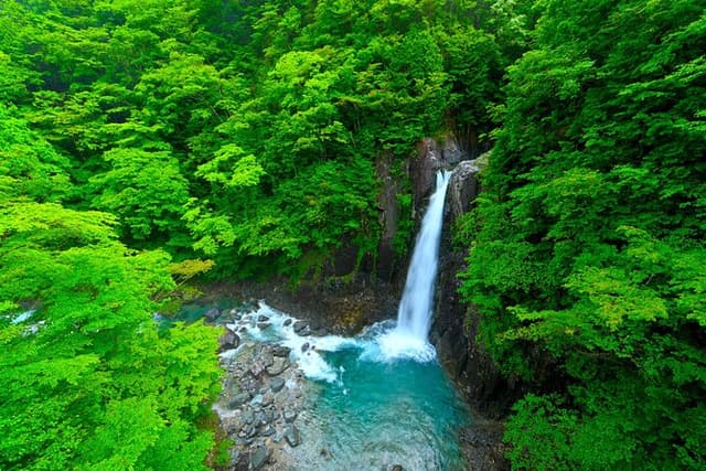 From Nagoya: Hidden Gems of the Kiso Valley (summer only)