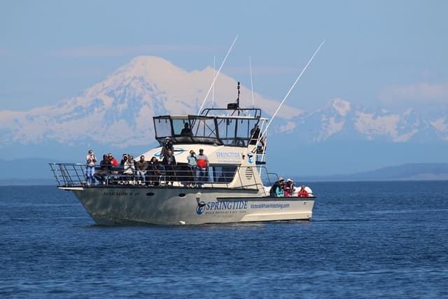 Victoria Whale Watch Tour