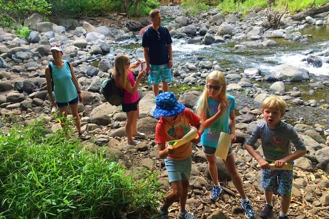 Discovery of Guadeloupe: Waterfalls, Canyons and Adventure