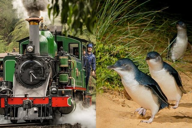 Puffing Billy Tour and Penguin Parade from Melbourne