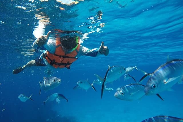 Snorkeling Shared Sky Tour in Cozumel with C