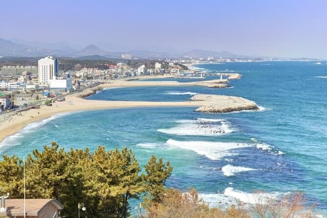 Sokcho Gourmet Tour