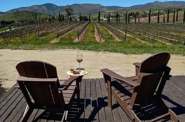 Valle Guadalupe Wine Tour from the Tijuana Border