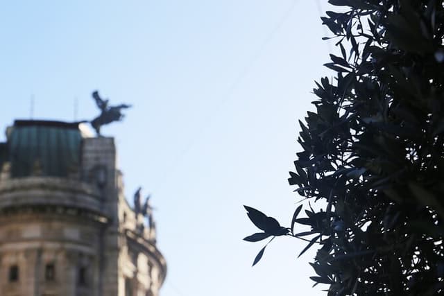 Discover Vigo : Private Historical and Cultural Walking Tour