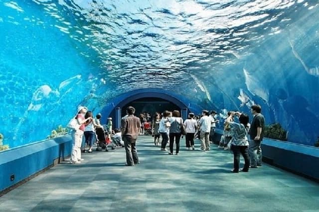 Pattaya Underwater World Tickets