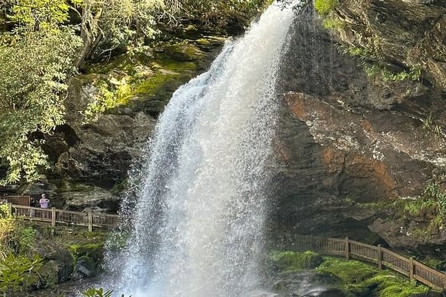 Rainforests and Waterfalls of Western NC