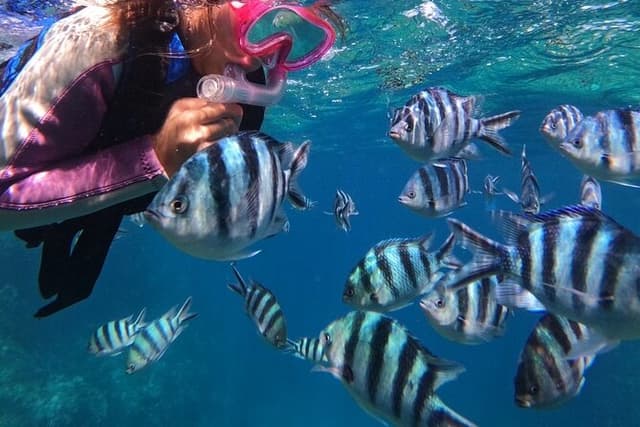 Blue Cave & Tropical Fish Snorkeling ！Free Photo Gift Included