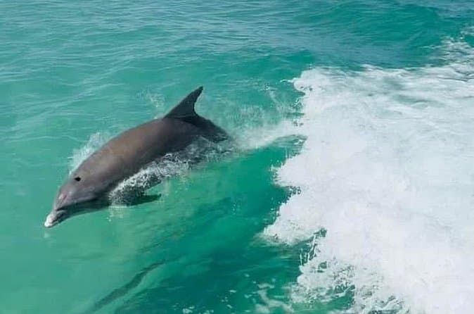 Best Night Paddleboard Experiences on Anna Maria Island
