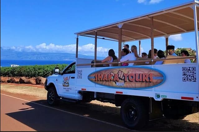 Fun! Open-Air Banyan Tree Forest & Blowhole Sight-Seeing MauiTour