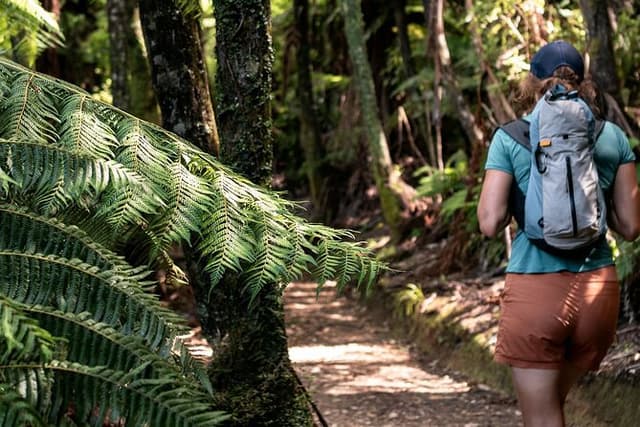 Full Day Kayak & Walk Tour-Queen Charlotte Sound & Link Pathway